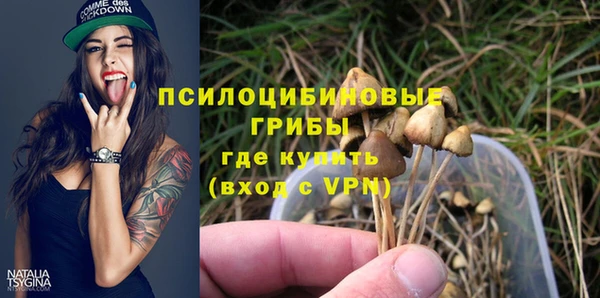 таблы Алексеевка