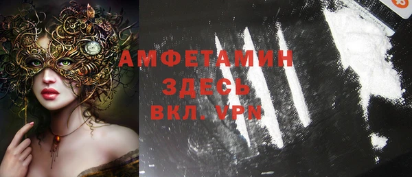 PSILOCYBIN Алзамай