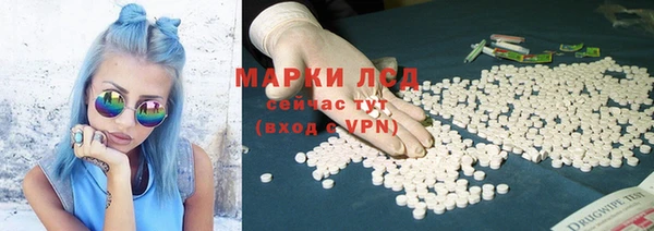 PSILOCYBIN Алзамай