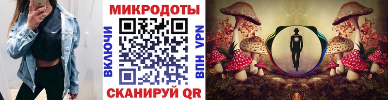 Галлюциногенные грибы Psilocybe  купить закладку  Рубцовск 