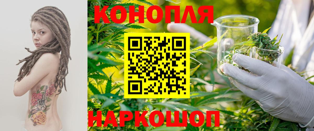 Бошки марихуана семена  Бошки Шишки White Widow  Вход с VPN  Рубцовск 